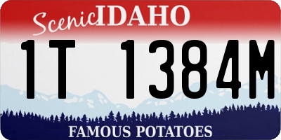 ID license plate 1T1384M