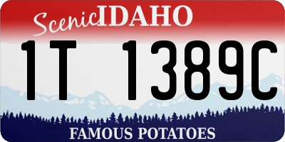 ID license plate 1T1389C