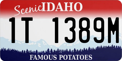 ID license plate 1T1389M