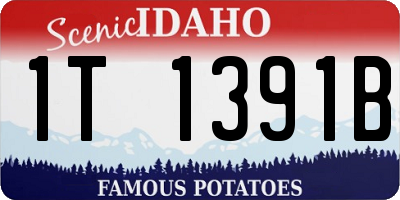 ID license plate 1T1391B