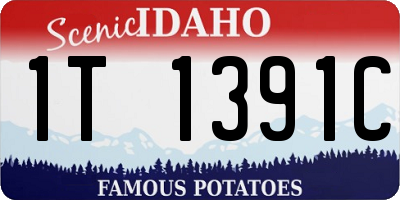 ID license plate 1T1391C