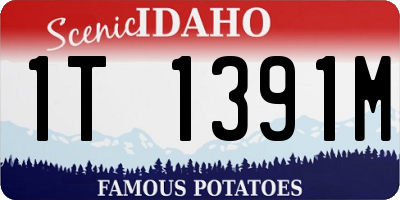 ID license plate 1T1391M