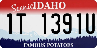 ID license plate 1T1391U