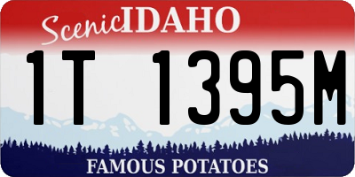 ID license plate 1T1395M