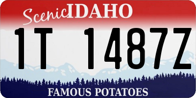 ID license plate 1T1487Z