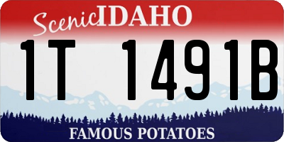 ID license plate 1T1491B