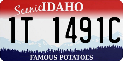 ID license plate 1T1491C