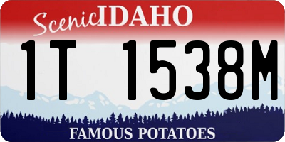 ID license plate 1T1538M