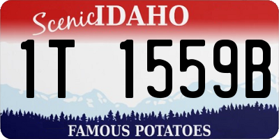 ID license plate 1T1559B