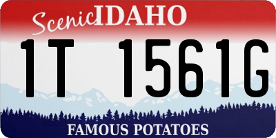 ID license plate 1T1561G