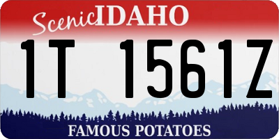 ID license plate 1T1561Z