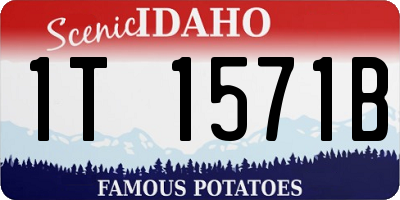 ID license plate 1T1571B