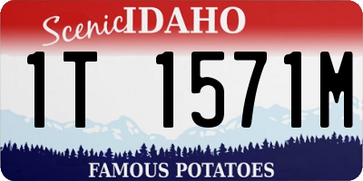 ID license plate 1T1571M