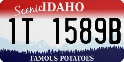 ID license plate 1T1589B