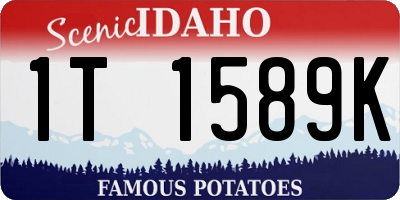 ID license plate 1T1589K