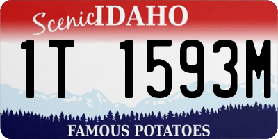 ID license plate 1T1593M