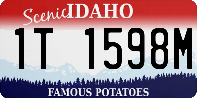 ID license plate 1T1598M
