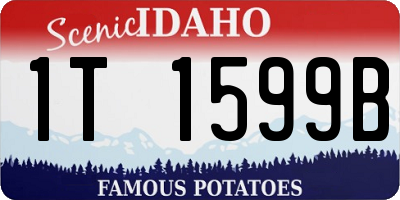 ID license plate 1T1599B