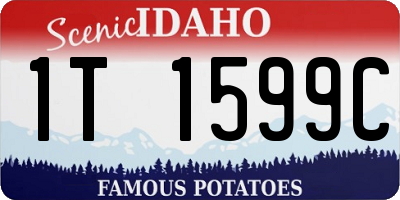 ID license plate 1T1599C