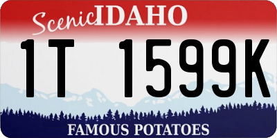 ID license plate 1T1599K