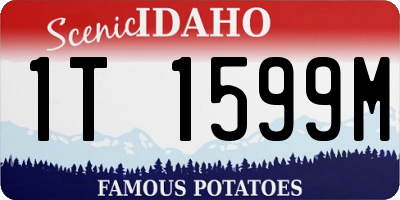 ID license plate 1T1599M