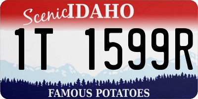 ID license plate 1T1599R