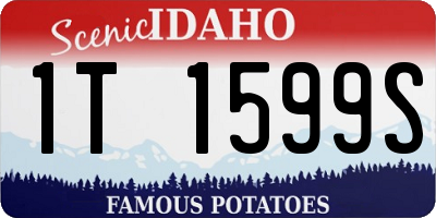 ID license plate 1T1599S