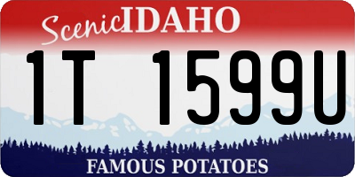 ID license plate 1T1599U