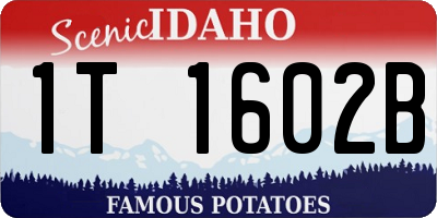 ID license plate 1T1602B