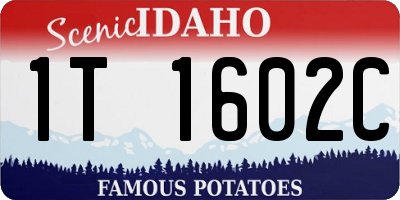ID license plate 1T1602C