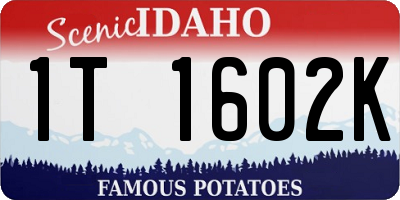 ID license plate 1T1602K