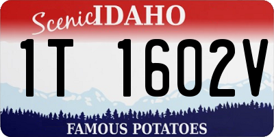 ID license plate 1T1602V