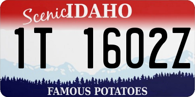 ID license plate 1T1602Z
