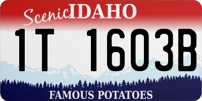 ID license plate 1T1603B