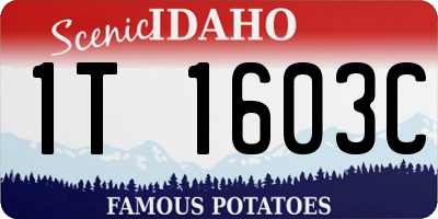 ID license plate 1T1603C