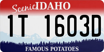 ID license plate 1T1603D