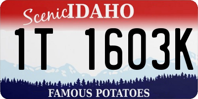 ID license plate 1T1603K