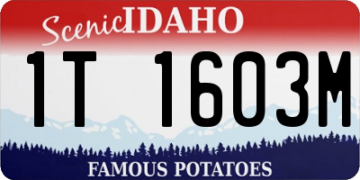 ID license plate 1T1603M