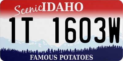 ID license plate 1T1603W