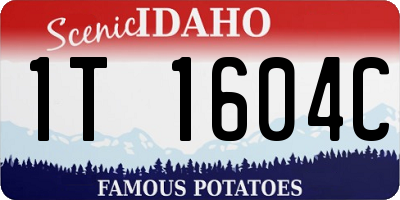 ID license plate 1T1604C