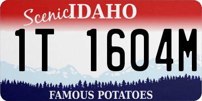 ID license plate 1T1604M