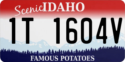 ID license plate 1T1604V