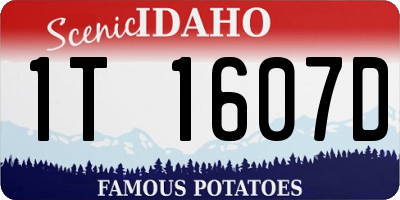 ID license plate 1T1607D