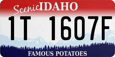 ID license plate 1T1607F