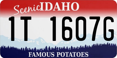 ID license plate 1T1607G