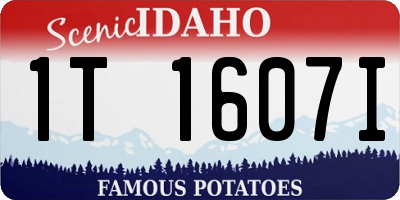 ID license plate 1T1607I