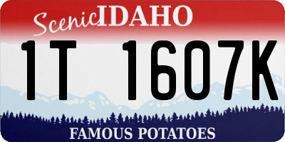 ID license plate 1T1607K