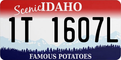 ID license plate 1T1607L