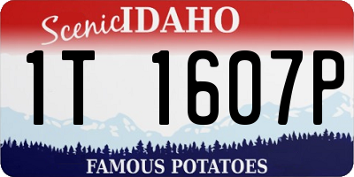 ID license plate 1T1607P