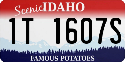 ID license plate 1T1607S
